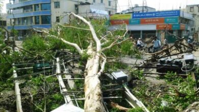 Sudden weather shift brings relief from heat, storm havoc leaves 13 dead in Bihar