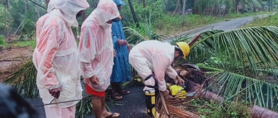 Four killed as rain, strong winds wreak havoc in Andhra Four killed as rain, strong winds wreak havoc in Andhra