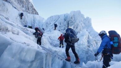 11 guides reach Everest summit as Nepal opens 2026 spring climbing season
