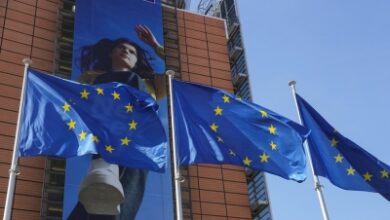 EU ‘keeps options open’ if US breaches trade deal: Spokesperson