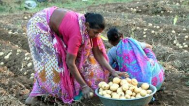 Gujarat farmers told to complete PM-KISAN e-KYC by June 30​