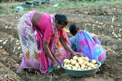 Gujarat farmers told to complete PM-KISAN e-KYC by June 30​