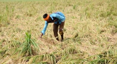 TN farmers seek consultations ahead of agriculture budget, push for crop support measures