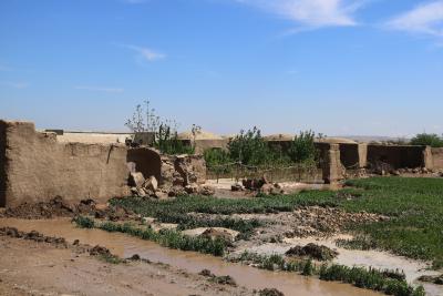 Around 2,000 families affected by floods in Afghanistan’s Nangarhar: IOM