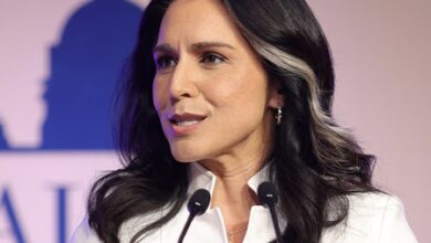 Trump praises Tulsi Gabbard over intelligence reforms Trump praises Tulsi Gabbard over intelligence reforms