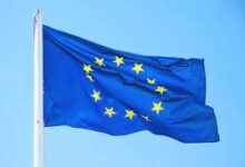 EU seeks to exclude leather from revised anti-deforestation law