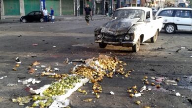 Cleric critically wounded in grenade attack near Damascus shrine