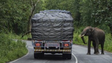 Kerala mulls insurance cover for forest area residents