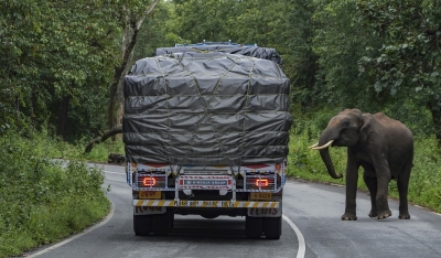 Kerala mulls insurance cover for forest area residents
