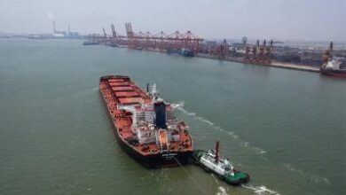 China uses subversive carrots for geopolitical gains: Report