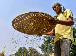 BIS rolls out new standard protocol for seed banks to help farmers BIS rolls out new standard protocol for seed banks to help farmers