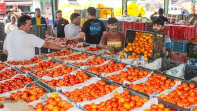 El Nino likely to impact food prices, inflation projected to settle in 5.2–5.5 pc range in FY27 El Nino likely to impact food prices, inflation projected to settle in 5.2–5.5 pc range in FY27