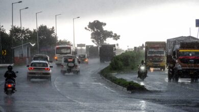 MP records 24 pc excess rainfall in early June, thunderstorms likely in multiple districts