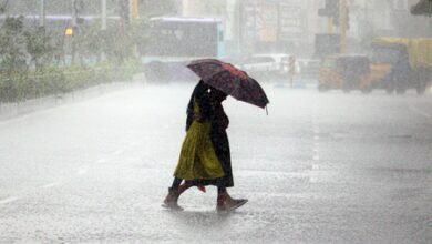 Heavy rain, strong winds forecast for six TN districts today; fishermen issued weather warning