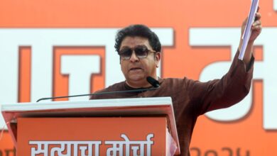 Development sans environment protection is hollow, throwing lives into chaos: Raj Thackeray targets Maha govt, Centre
