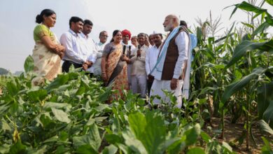 India’s solar-powered agriculture model a scalable blueprint for Africa: PM Modi India’s solar-powered agriculture model a scalable blueprint for Africa: PM Modi