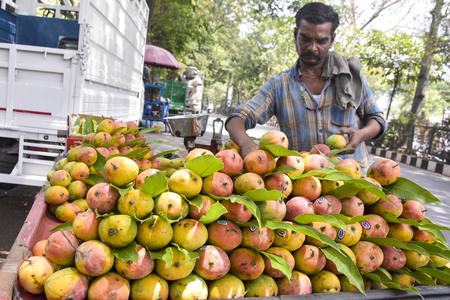 Centre announces relief for K’taka mango growers; Union Min Joshi thanks PM Modi, Shivraj Chouhan
