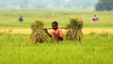 India’s agriculture GVA more than doubles to Rs 48.7 lakh crore in a decade