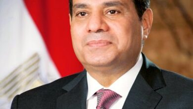 Egypt works to help facilitate deal between US, Iran: President Egypt works to help facilitate deal between US, Iran: President