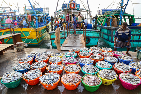 India’s seafood exports hit record Rs 73,890 crore