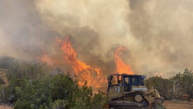 US forest chief warns of severe fire season