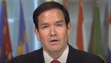 Critical minerals now central to US diplomacy: Rubio
