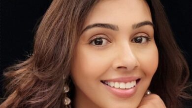 Suchitra Krishnamoorthi on Aamir Khan getting married for the 3rd time: Very brave of him