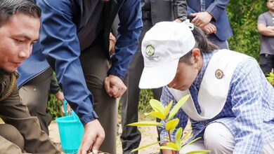 Meghalaya: CM Sangma urges citizen-centric governance on WED