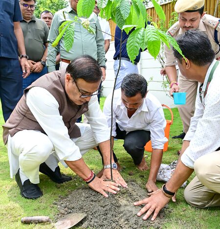 World Environment Day: Assam records plantation of over 1 crore saplings in one day