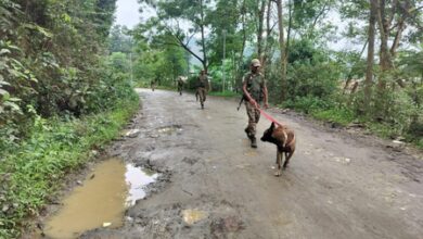 Woman among three killed in armed attack on Manipur village; houses set ablaze