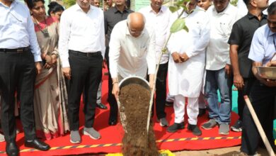 Ahmedabad targets plantation of 50 lakh trees as Gujarat CM launches expanded urban green, air quality drive