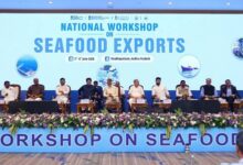 Andhra Pradesh will develop Aqua Corridor: CM Chandrababu Naidu