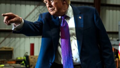 ‘Far better than expected’: Trump hails jobs surge; signals AI stakes