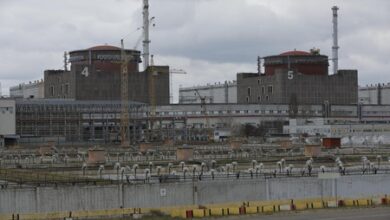 IAEA chief calls for restraint, adherence to ceasefire near Zaporizhzhia