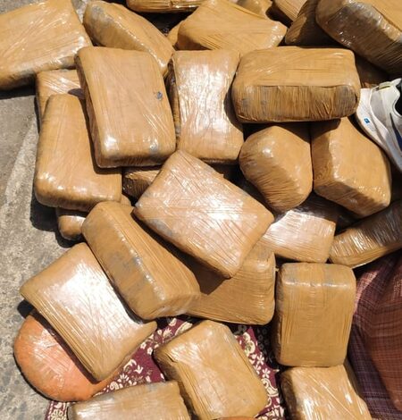 DRI seizes 522 kg cannabis worth Rs 2.61 crore in Nagpur; two arrested
