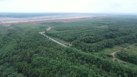 Adani Group transforms Chhattisgarh’s Surguja mine into green landscape with 1.6 million trees Adani Group transforms Chhattisgarh’s Surguja mine into green landscape with 1.6 million trees