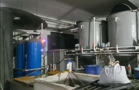 Four workers die after inhaling toxic gas during tank cleaning at jewellery unit in Surat Four workers die after inhaling toxic gas during tank cleaning at jewellery unit in Surat