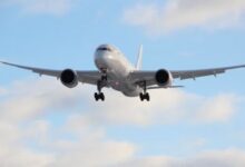 Sustainable aviation fuel to account for less than 1 pc of fuel use this year: IATA Sustainable aviation fuel to account for less than 1 pc of fuel use this year: IATA
