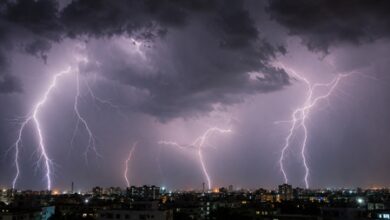 IMD weather alert: Moderate to severe storms likely in multiple districts of MP IMD weather alert: Moderate to severe storms likely in multiple districts of MP