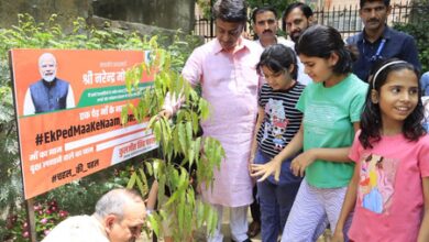 NDMC V-C Kuljeet Singh Chahal leads tree plantation drive in North West Moti Bagh NDMC V-C Kuljeet Singh Chahal leads tree plantation drive in North West Moti Bagh
