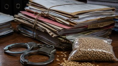 Fake seed probe: Rajasthan ACB gets 5-day custody of 6 accused, seizes Rs 2.44cr