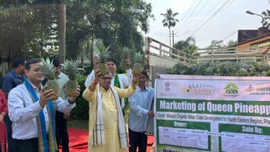 Tripura exports organic products worth Rs 17 crore, demand rising: Minister Tripura exports organic products worth Rs 17 crore, demand rising: Minister
