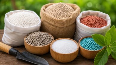 India’s fertiliser stocks sufficient to meet farmers’ needs: Govt