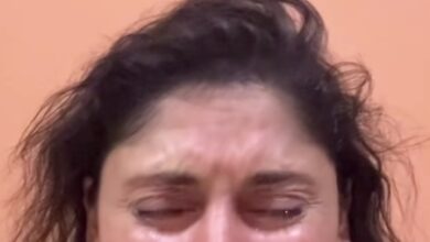 ‘Jaane Tu Ya Jaane Na’ fame Manjari Fadnnis inconsolable after community dog allegedly murdered ‘Jaane Tu Ya Jaane Na’ fame Manjari Fadnnis inconsolable after community dog allegedly murdered