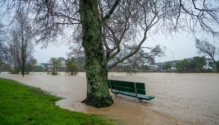 Massive swells, gales batter New Zealand capital Massive swells, gales batter New Zealand capital