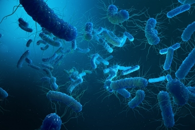 Shigella alert in Kerala, health department steps up vigil Shigella alert in Kerala, health department steps up vigil