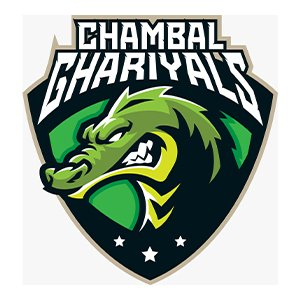 MPL T20: Playing alongside experienced players motivates young girls, says Chambal Gharials coach MPL T20: Playing alongside experienced players motivates young girls, says Chambal Gharials coach