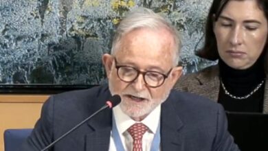 UN Rapporteur concerned over use of force against protesters in Afghanistan UN Rapporteur concerned over use of force against protesters in Afghanistan