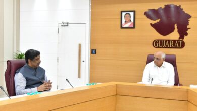 Gujarat CM orders early release of Narmada canal water for irrigation Gujarat CM orders early release of Narmada canal water for irrigation
