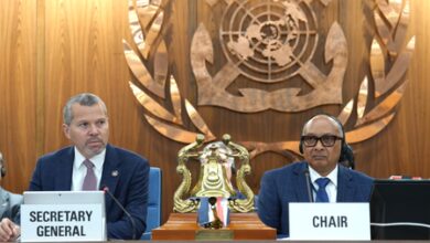 IMO warns against attempts to transit Strait of Hormuz without credible security guarantees